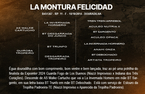 Geração LA MONTURA FELICIDAD