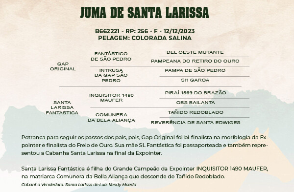 Geração JUMA DE SANTA LARISSA