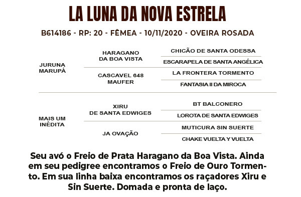 Geração LA LUNA DA NOVA ESTRELA