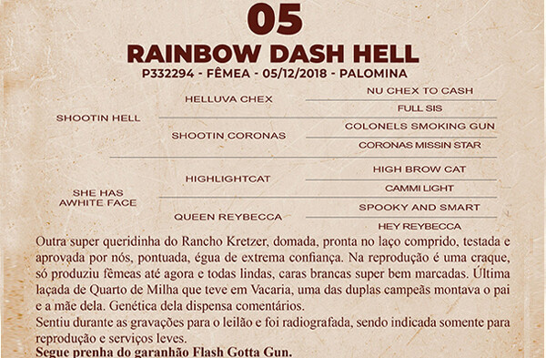 Geração RAINBOW DASH HELL