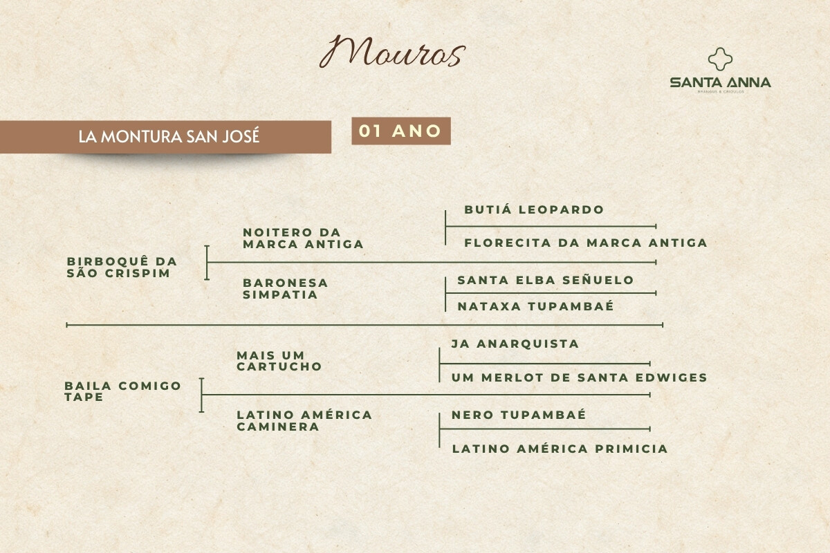 Geração LA MONTURA SAN JOSÉ