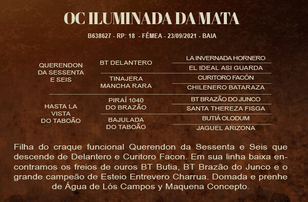 Geração OC ILUMINADA DA MATA 