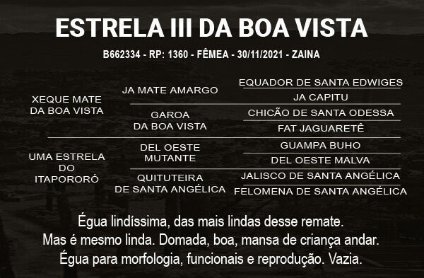 Geração ESTRELA III DA BOA VISTA