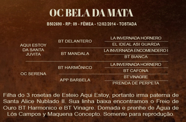 Geração OC BELA MATA 