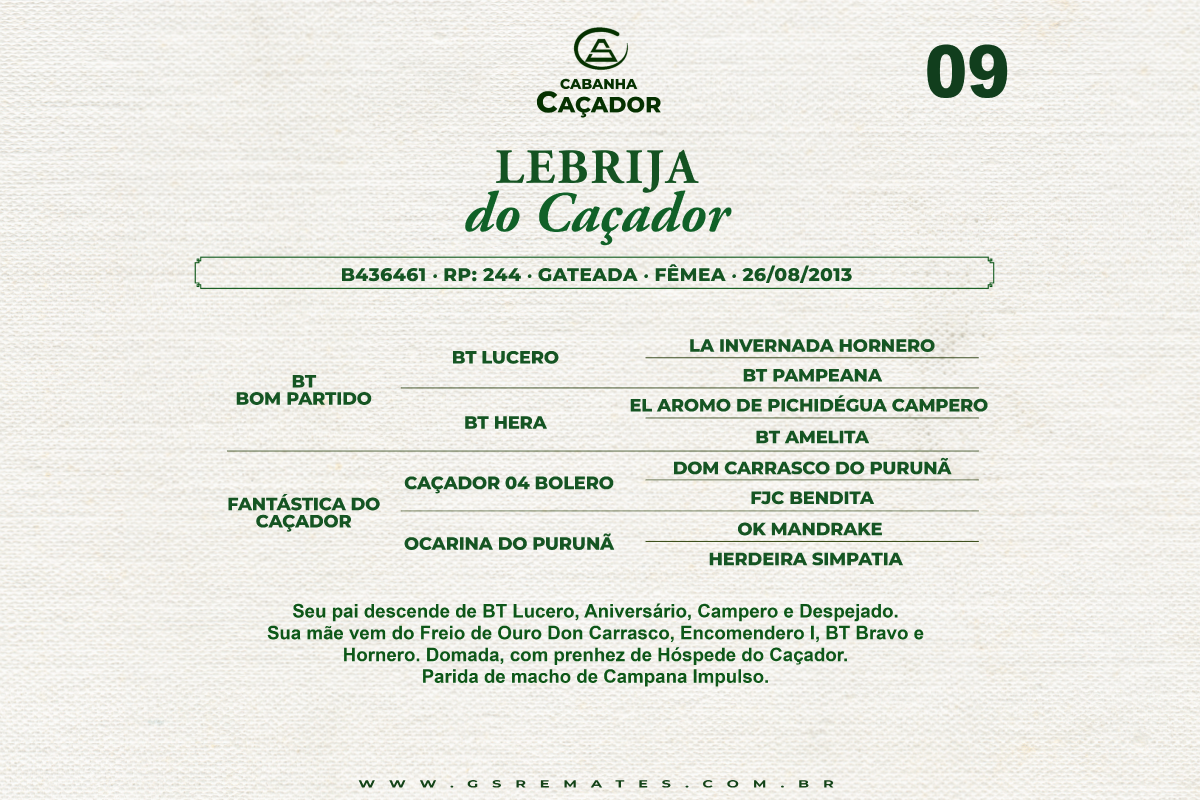 Geração LEBRIJA DO CAÇADOR 