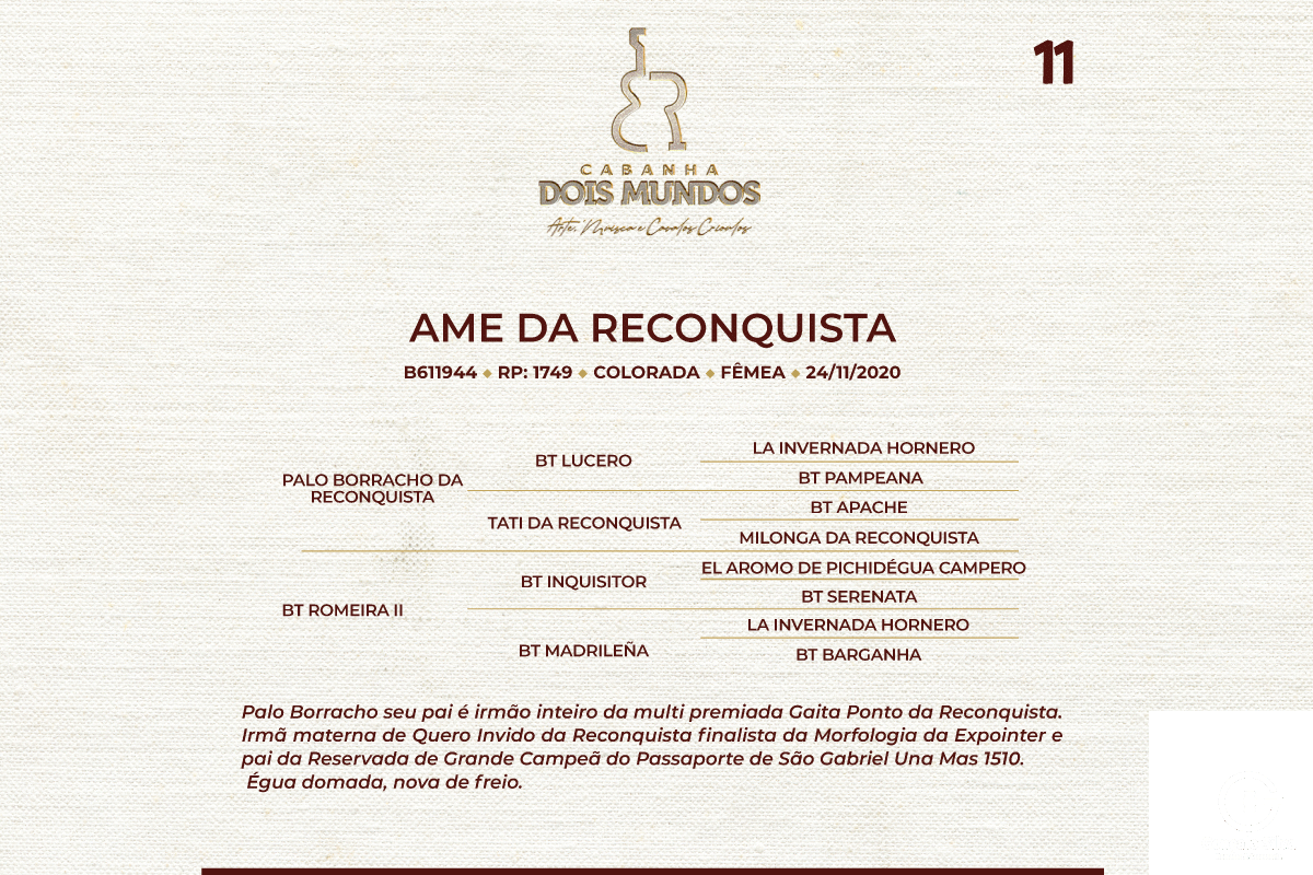 Geração AME DA RECONQUISTA