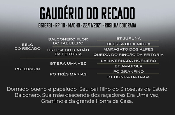 Geração GAUDERIO DO RECADO