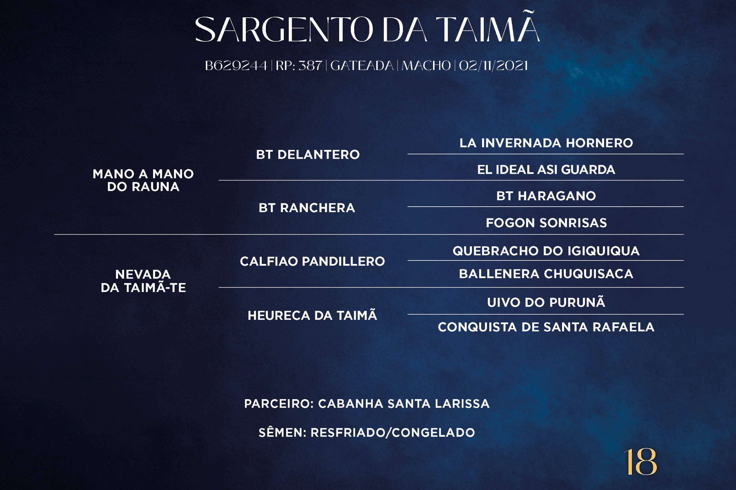 Geração SARGENTO DA TAIMÃ  