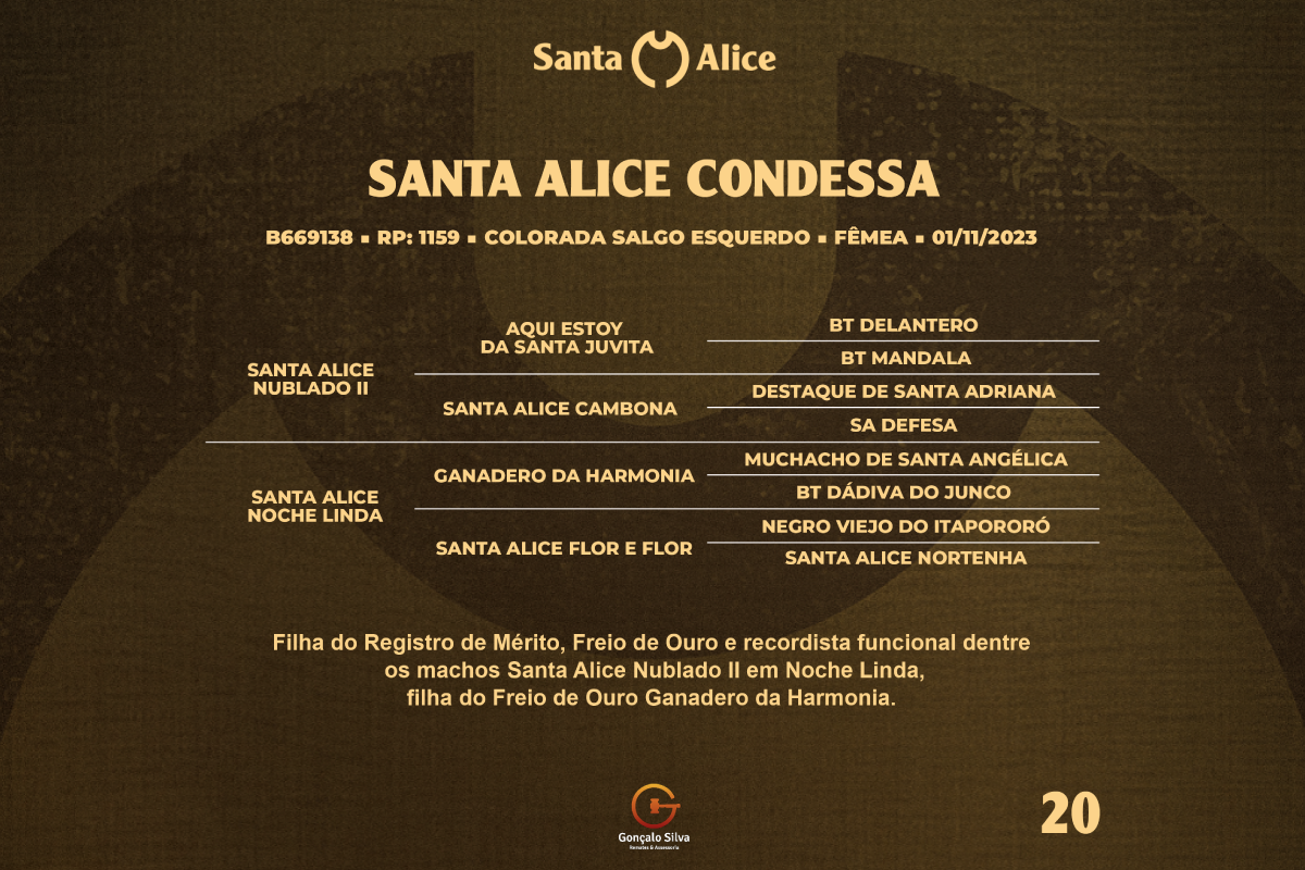 Geração SANTA ALICE CONDESSA 