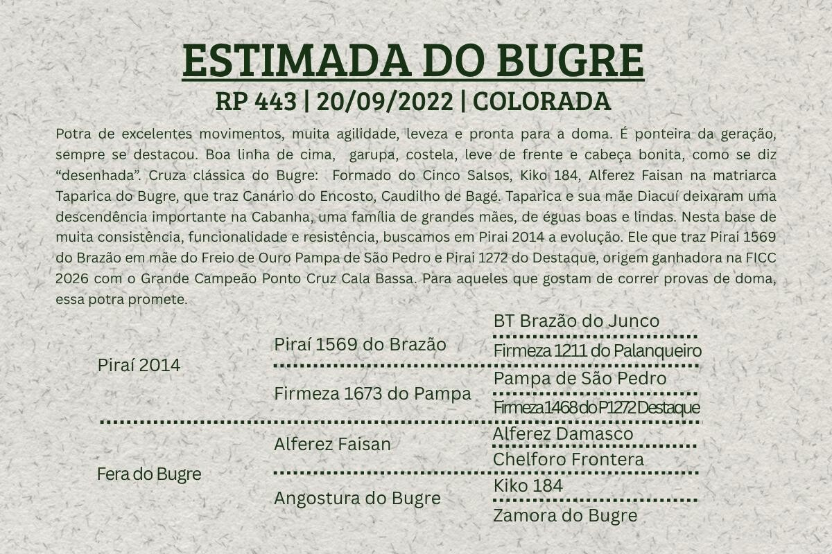 Geração ESTIMADA DO BUGRE