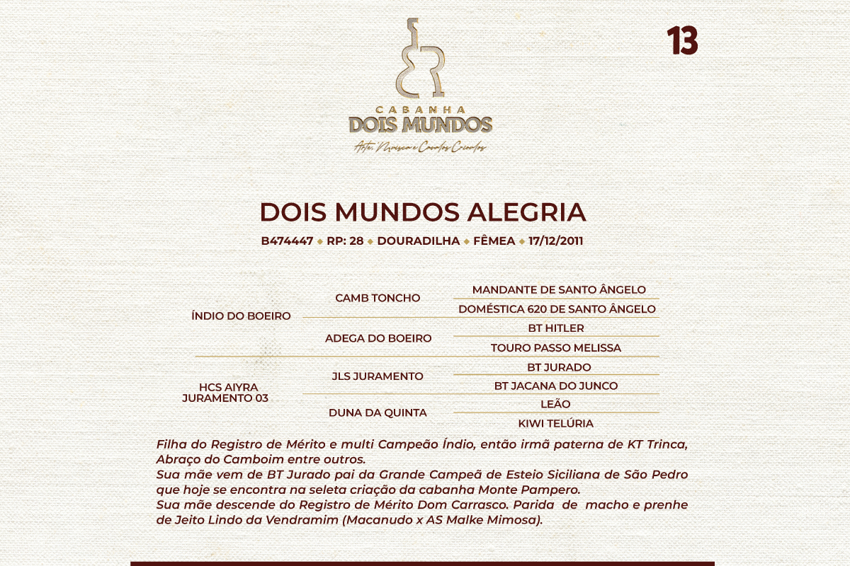 Geração DOIS MUNDOS ALEGRIA