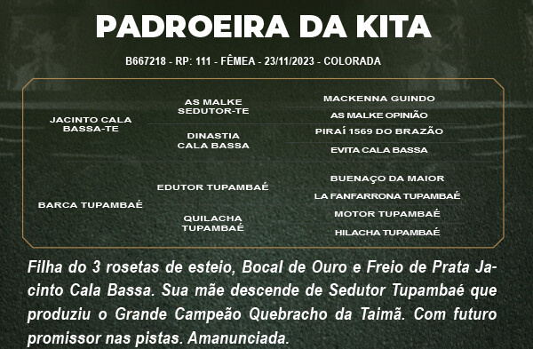 Geração PADROEIRA DA KITA 