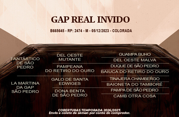 Geração Gap Real Invido
