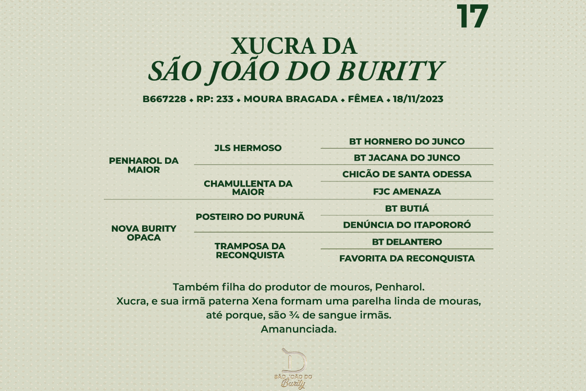 Geração XUCRA DA SÃO JOÃO DO BURITY