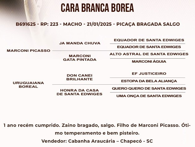 Geração CARA BRANCA BOREAL