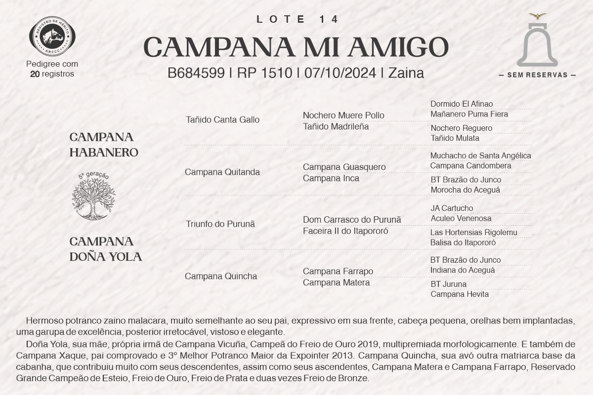 Geração CAMPANA MI AMIGO
