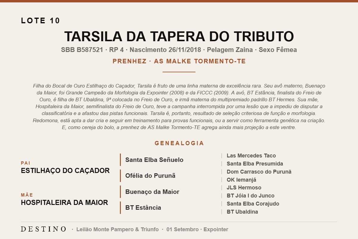 Geração TARSILA DA TAPERA DO TRIBUTO
