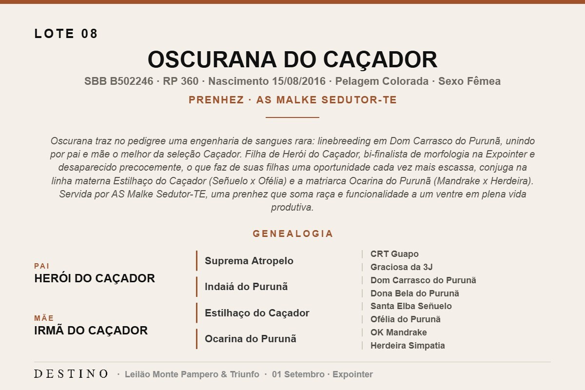 Geração OSCURANA DO CAÇADOR