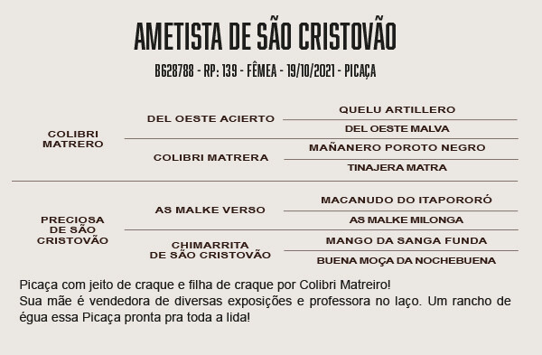 Geração AMETISTA DE SÃO CRISTÓVÃO