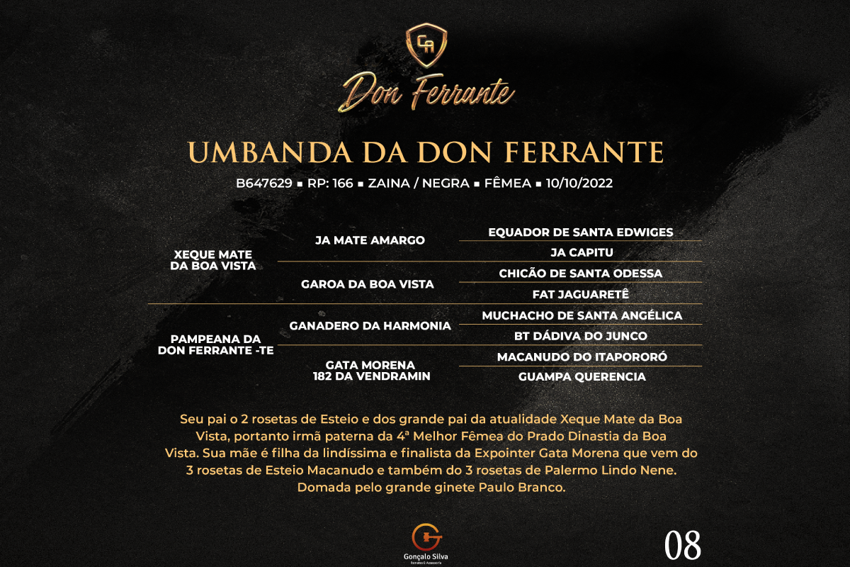 Geração UMBANDA DA DON FERRANTE 