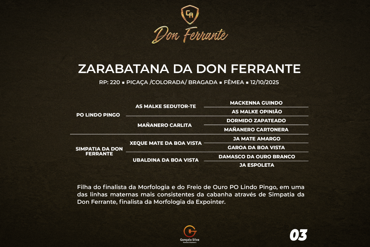 Geração ZARABATANA DA DON FERRANTE 