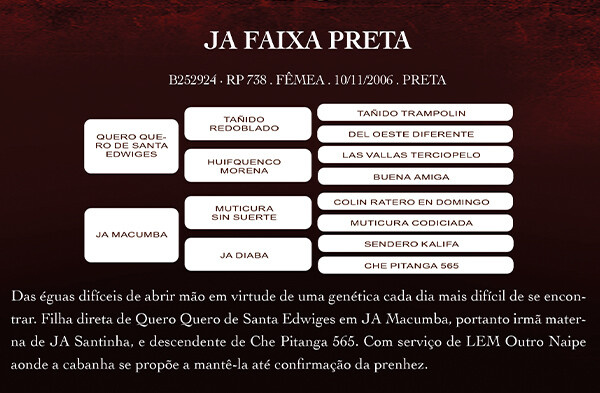 Geração JA FAIXA PRETA