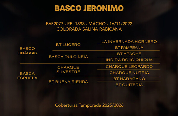 Geração BASCO JERONIMO