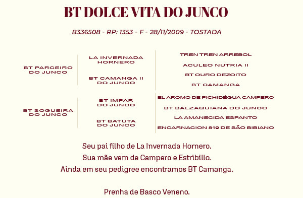 Geração BT DOLCE VITA DO JUNCO