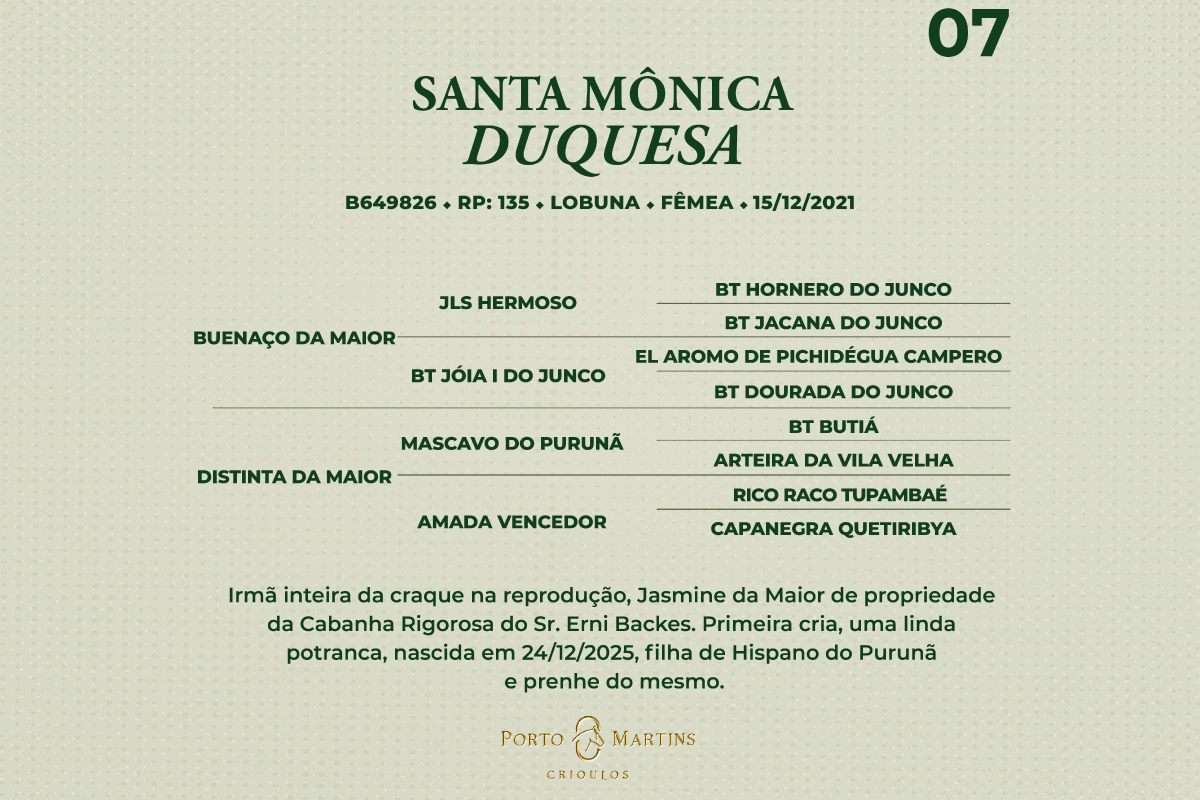 Geração SINAL DA CRUZ DUQUESA