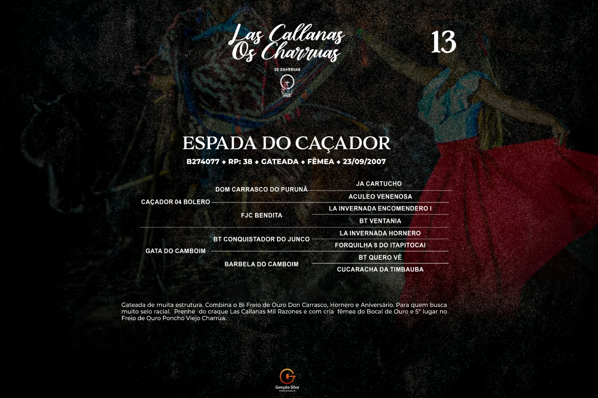 Geração ESPADA DO CAÇADOR