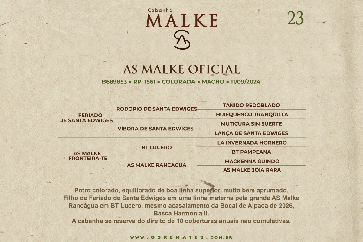 Geração AS MALKE OFICIAL