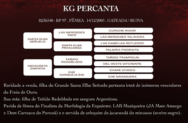 Geração KG PERCANTA