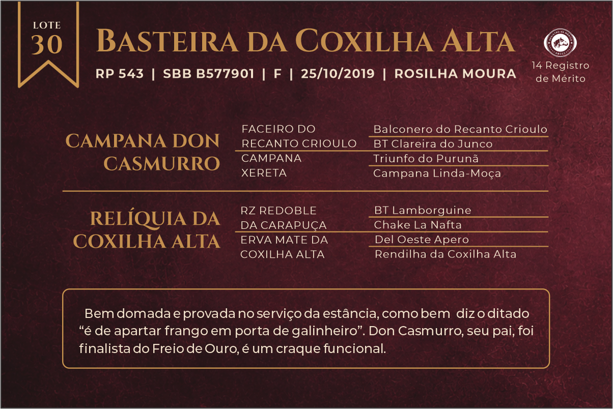 Geração BASTEIRA DA COXILHA ALTA