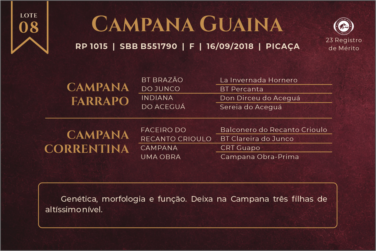 Geração CAMPANA GUAINA