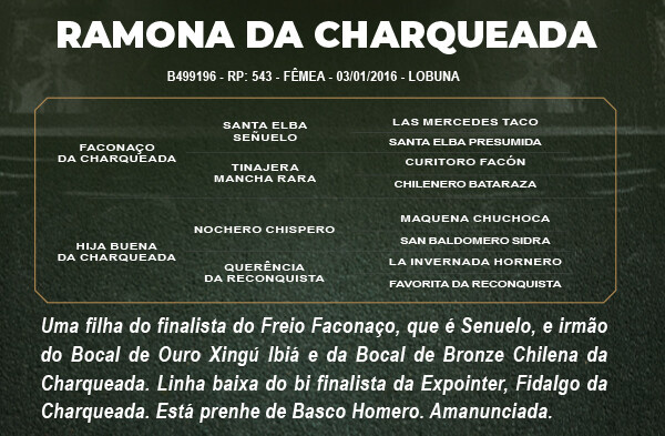 Geração RAMONA DA CHARQUEADA 
