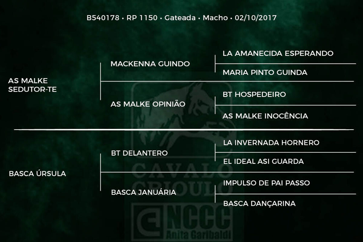 Geração BASCO ENCANTO
