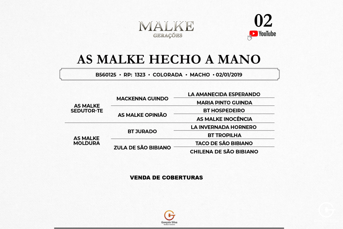 Geração COBERTURA - AS MALKE HECHO A MANO