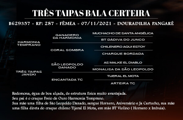 Geração TRES TAIPAS BALA CERTEIRA