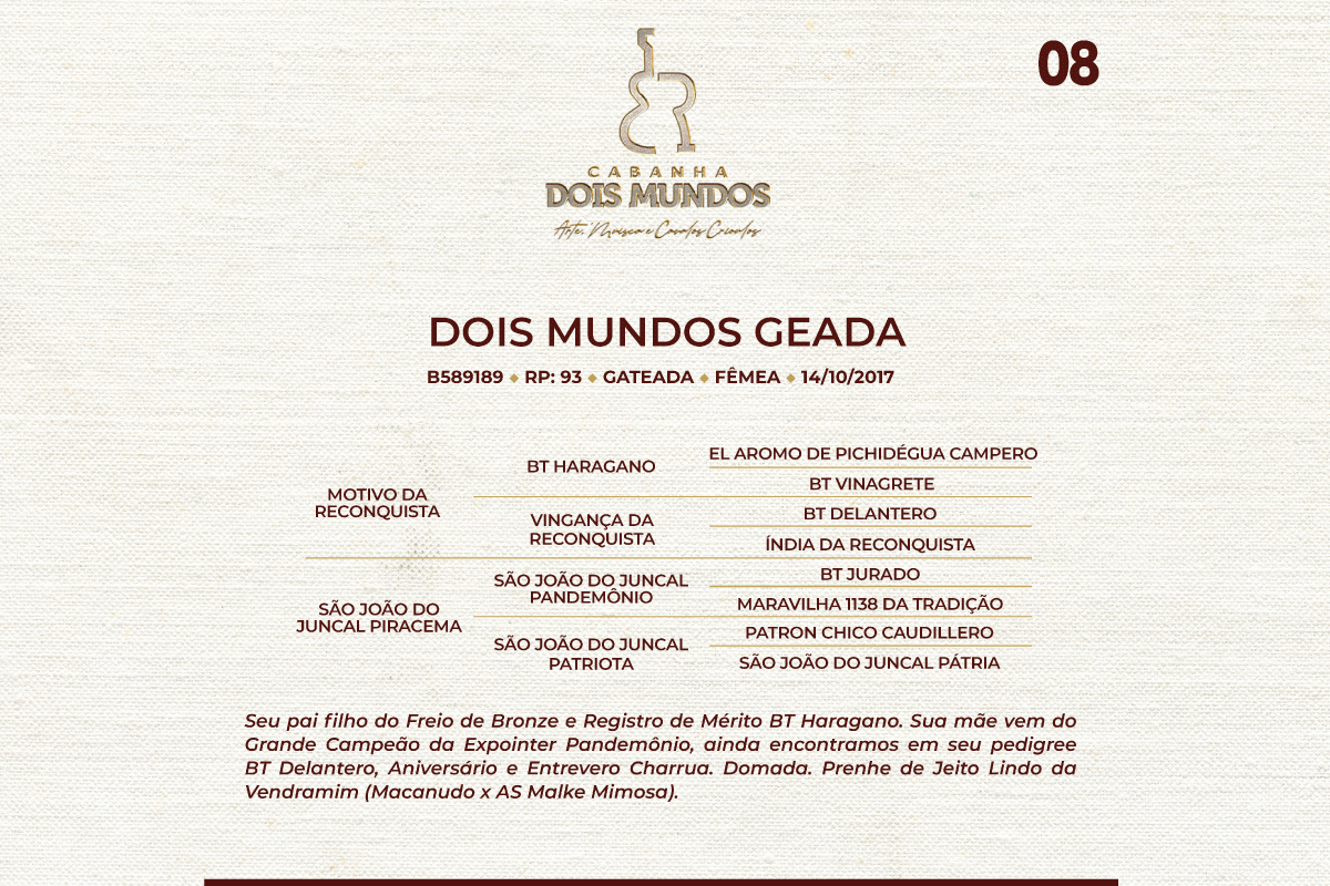 Geração DOIS MUNDOS GEADA