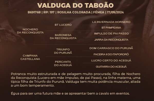 Geração VALDUGA DO TABOÃO 