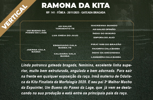 Geração VERTICAL RAMONA DA KITA OU RANCAGUA DA KITA 