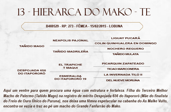 Geração HIERARCA DO MAKO - TE 