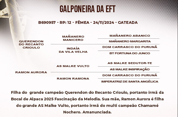 Geração GALPONEIRA DA EFT