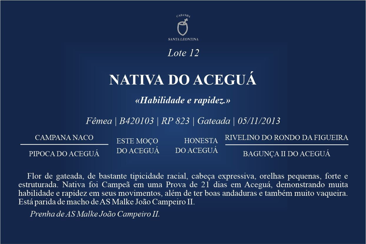 Geração NATIVA DO ACEGUÁ