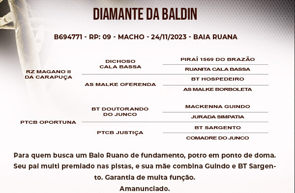 Geração DIAMANTE DA BALDIN