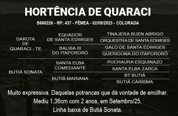 Geração HORTÊNCIA DE QUARACI