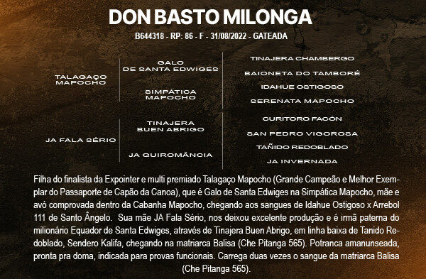 Geração DON BASTO MILONGA