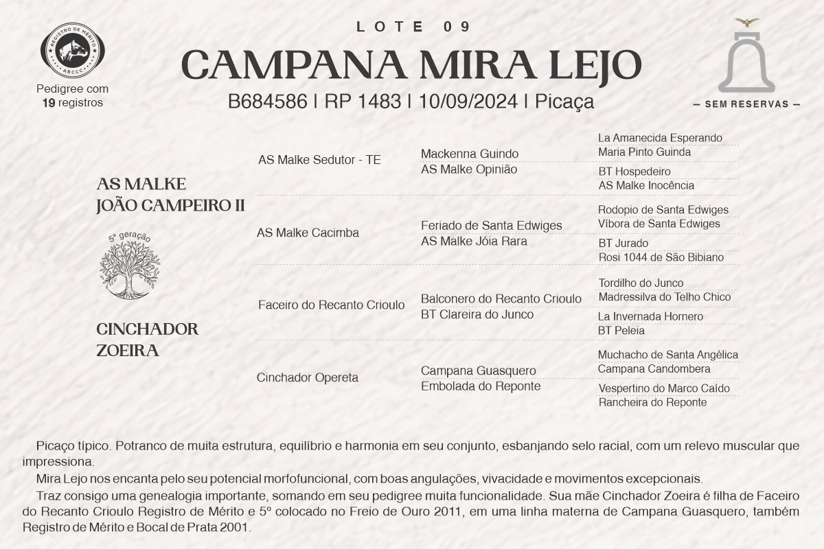 Geração CAMPANA MIRA LEJO