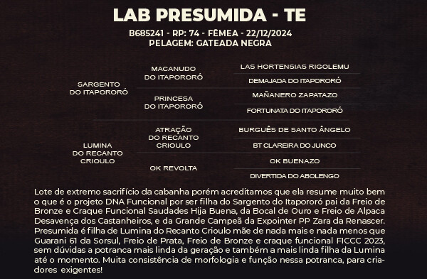 Geração LAB PRESUMIDA - TE