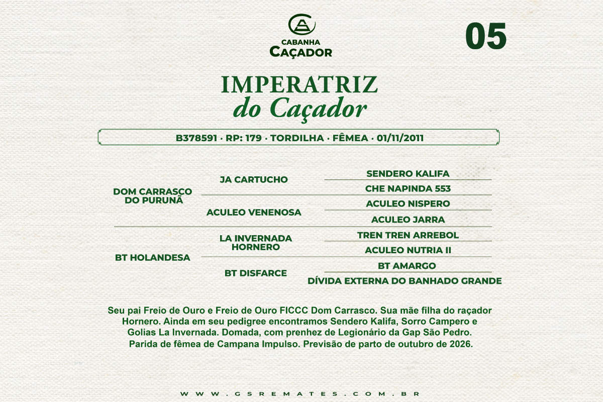 Geração IMPERATRIZ DO CAÇADOR